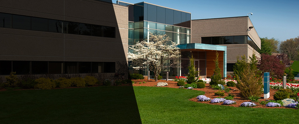 Fair Lawn Landscapers