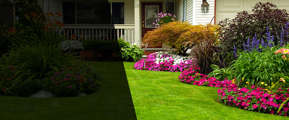 Fair Lawn Landscapers