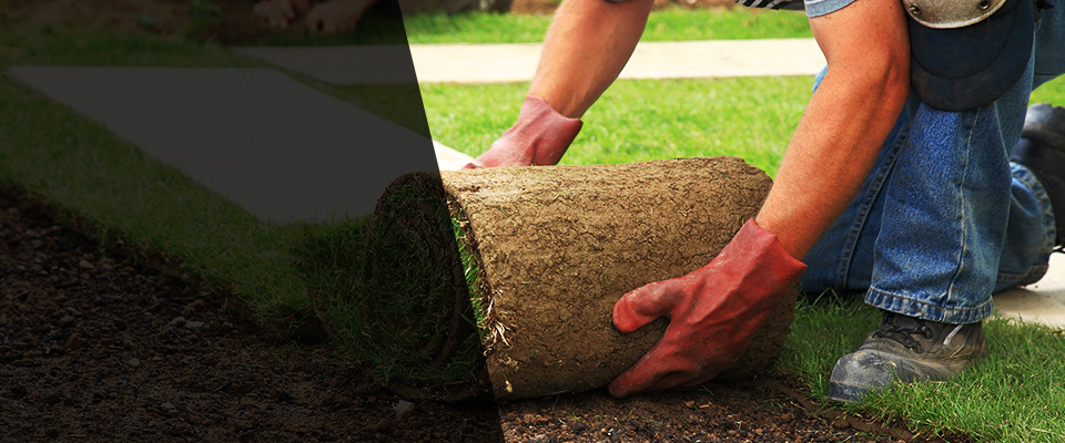 Fair Lawn Landscapers